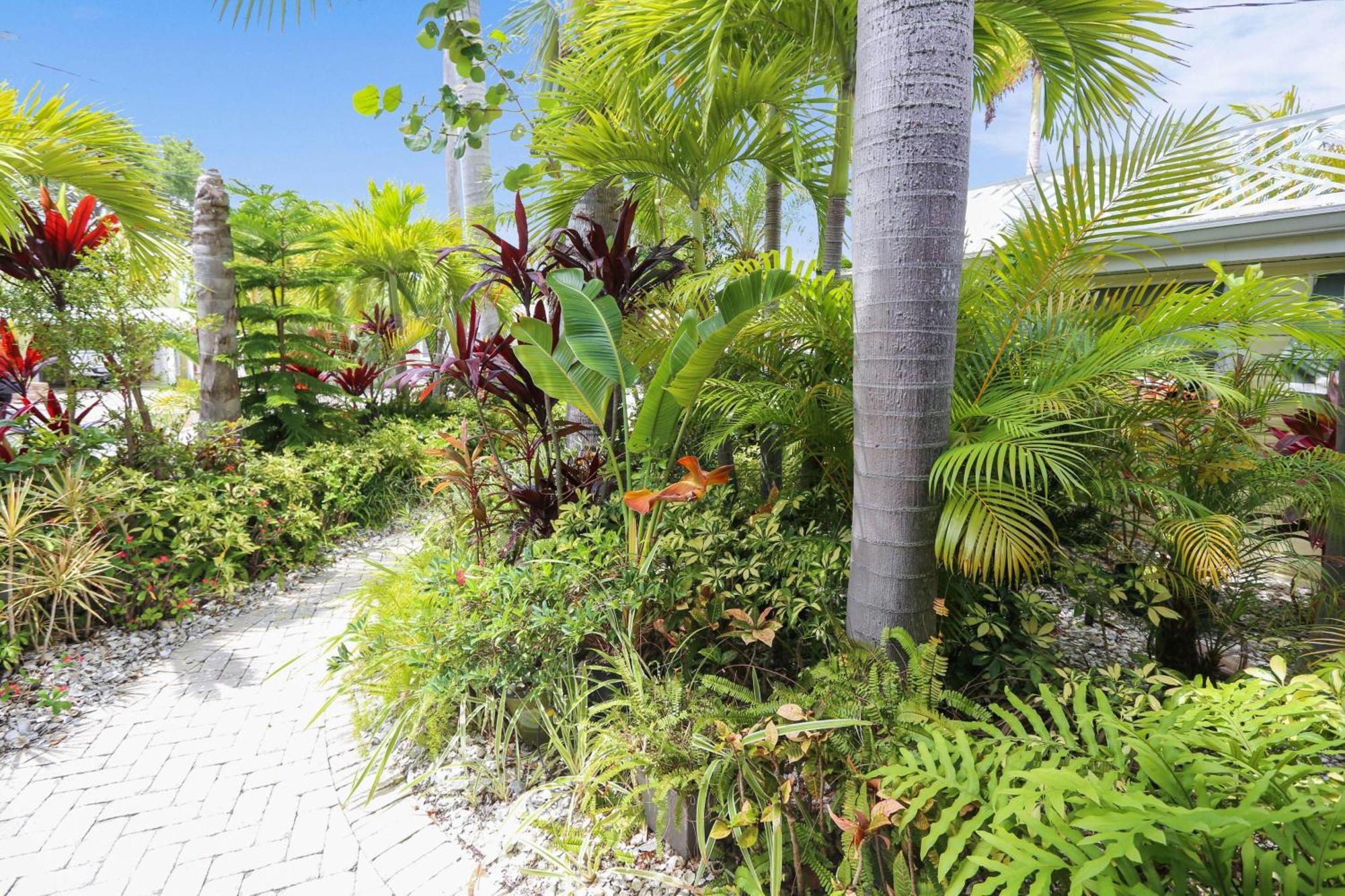 Coconut Paradise سانت بيتي بيتش المظهر الخارجي الصورة
